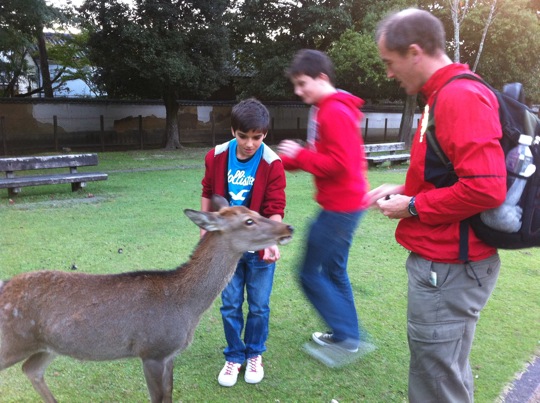 Feeding the deer - they like Oreos!