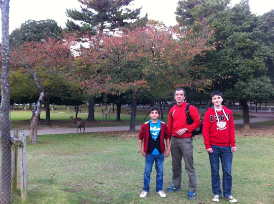 Nara park